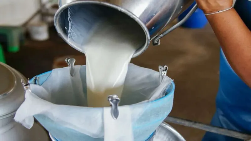2024'te 22,5 milyon ton çiğ süt ürettik!